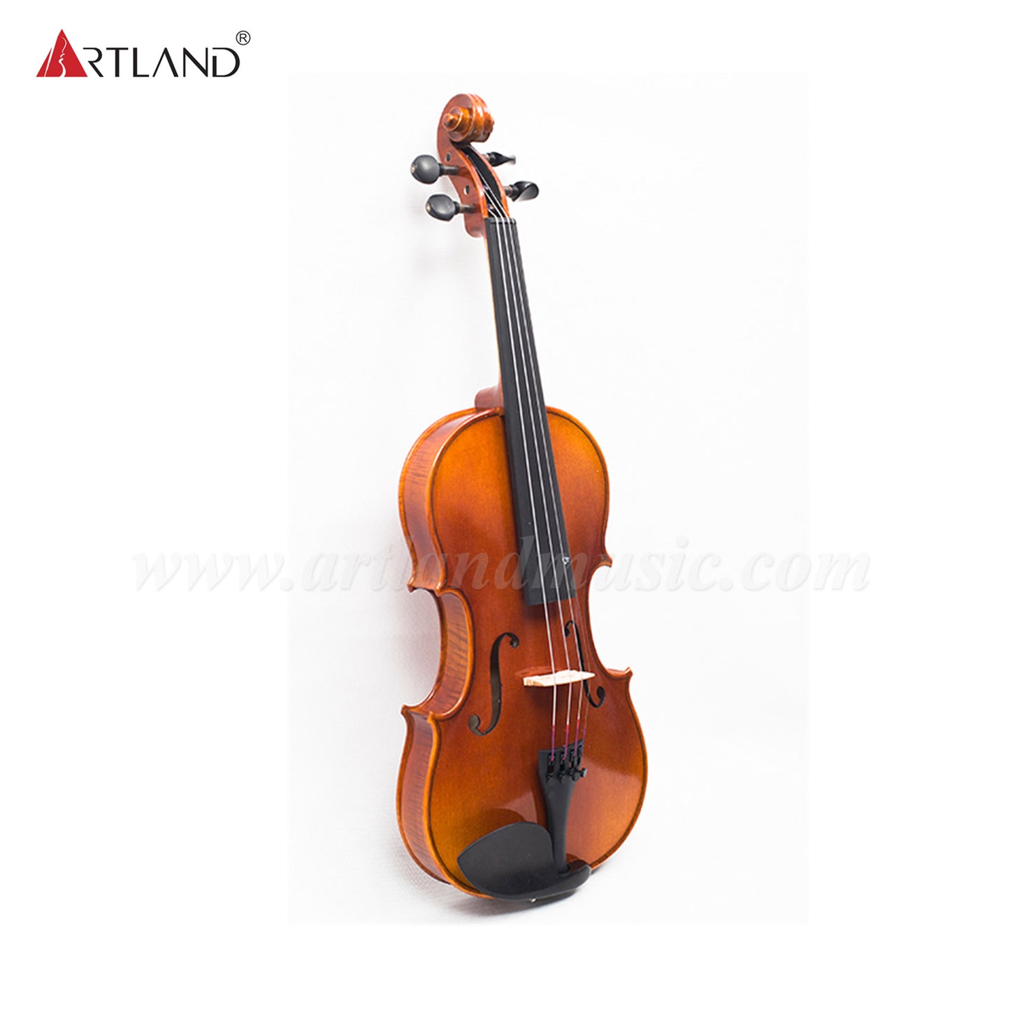 Advanced Violin with Nice Flame