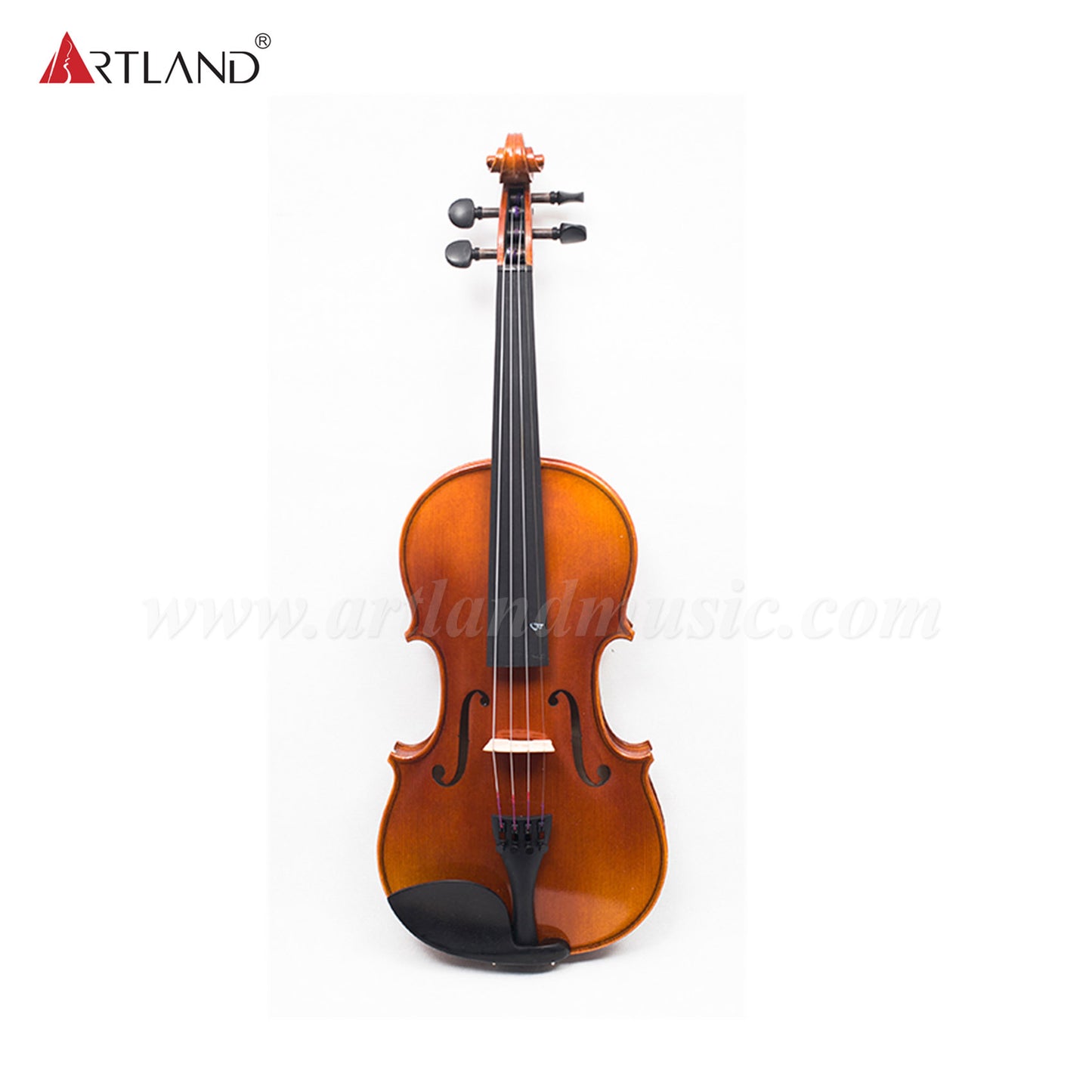 Advanced Violin with Nice Flame