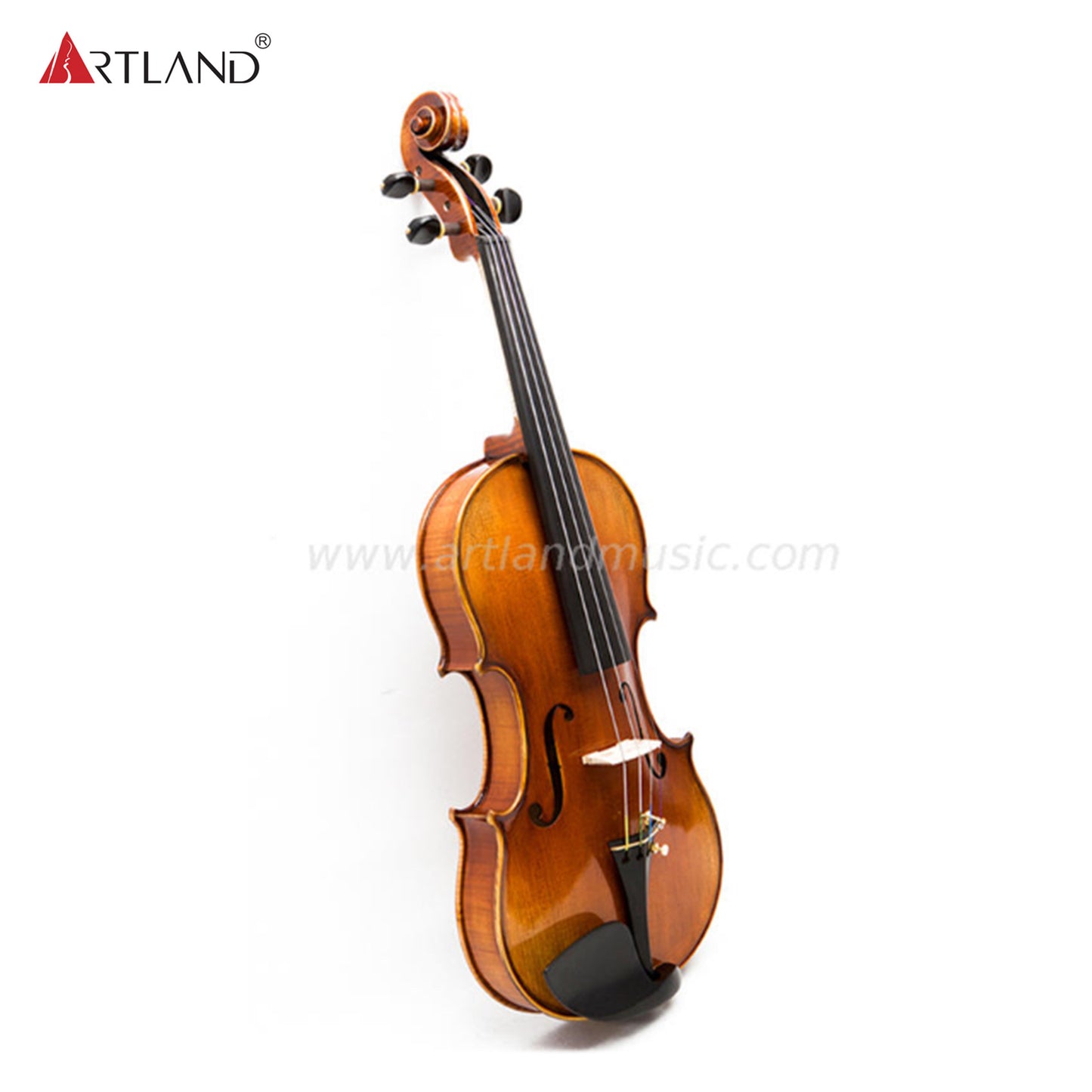 One Piece Back Hand Made Violin